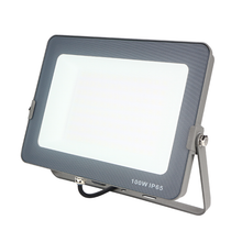 Load image into Gallery viewer, 100 Watt Driverless Floodlight (PIR Attachable)