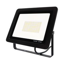Load image into Gallery viewer, 100 Watt Driverless Floodlight