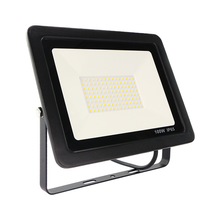 Load image into Gallery viewer, 100 Watt Driverless Floodlight