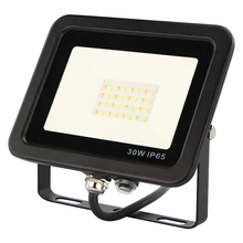 Load image into Gallery viewer, 30 Watt Driverless Floodlight (PIR Attachable)