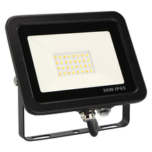 Load image into Gallery viewer, 30 Watt Driverless Floodlight (PIR Attachable)